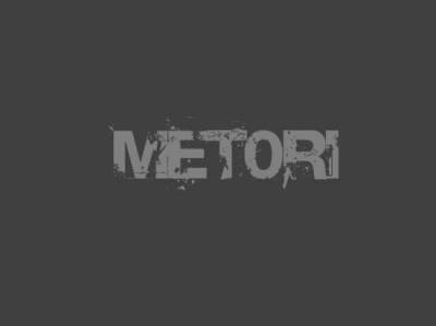 MET0RI 1G [БЕСПАЛЕВНЫЙ ЧИТ С 2011 ГОДА]